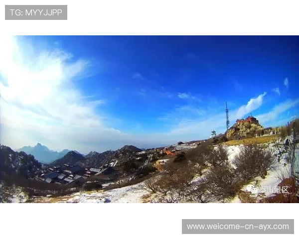 泰山换血或见成效：新举措助力品牌焕发新生