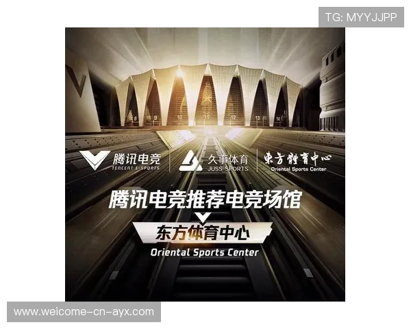 职业联赛的收视受众洞察 职业联赛的收视受众洞察